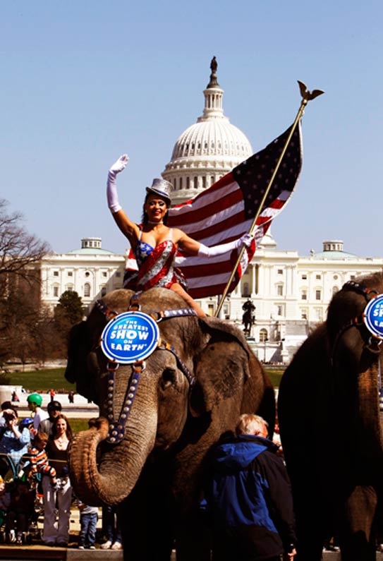 Gleice DeSouza, pachyderm parade