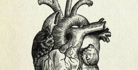 heart543