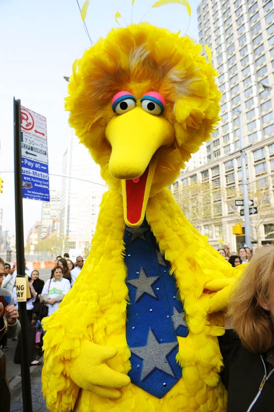 sesame street, pakistan