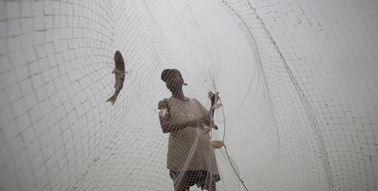A fisherman clears his net after a catch of fish during early morning at Karachi's Clifton beach