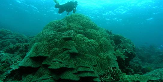 Great Barrier Reef