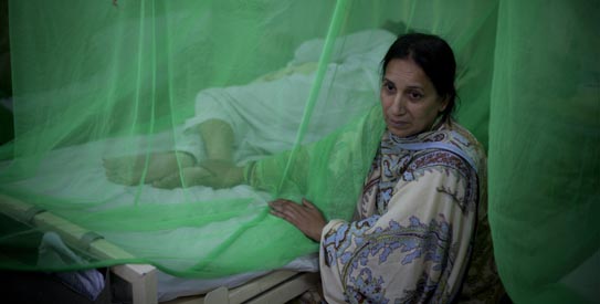 Pakistan Dengue Fever