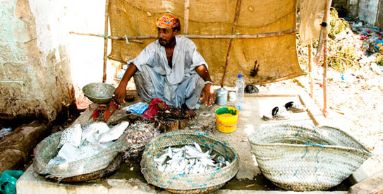 In the town by the sea, fishing is a seasonal way of living which is why the area is in dire straits and demands attention of the social and governmental reformers. —Photo by Hussain Afzal/Dawn.com