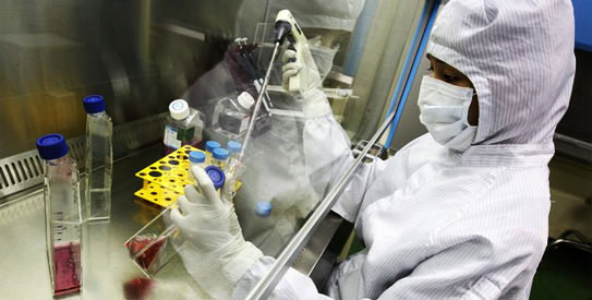 stem-cells543