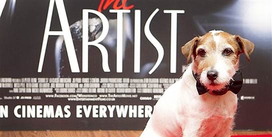 uggie543275