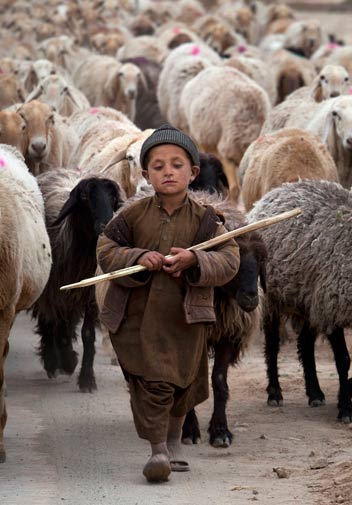 A young shepherd escorts his herd in suburbs of Islamabad, Pakistan, Monday, March 12, 2012. ?
AP Photo