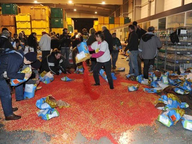 Anti-GMO activists rip open bags containing 'MON 810', a variety of genetically modified maize (corn) developed by Monsanto company after entering a Monsanto storehouse on January 23, 2012 in Trebes near Carcassonne, southern France. – AFP Photo