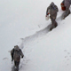 Icy killing fields of Siachen, 'world's highest battleground'