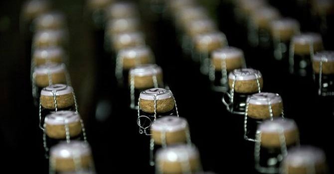 Drought leaves mark on Chile's wines