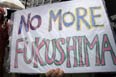 Fukushima disaster caused mutant butterflies: scientists