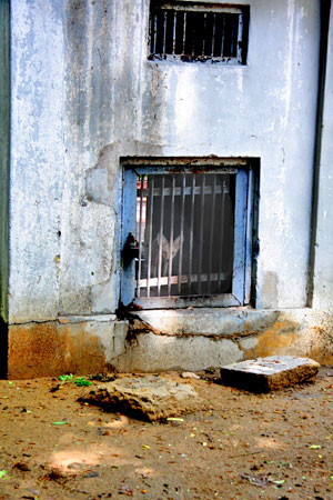 pakistan-zoos-animals-behind-bars-7