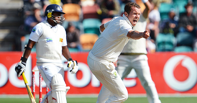 australia cricket, sri lanka cricket, peter siddle