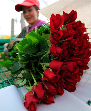 —Photo by Reuters