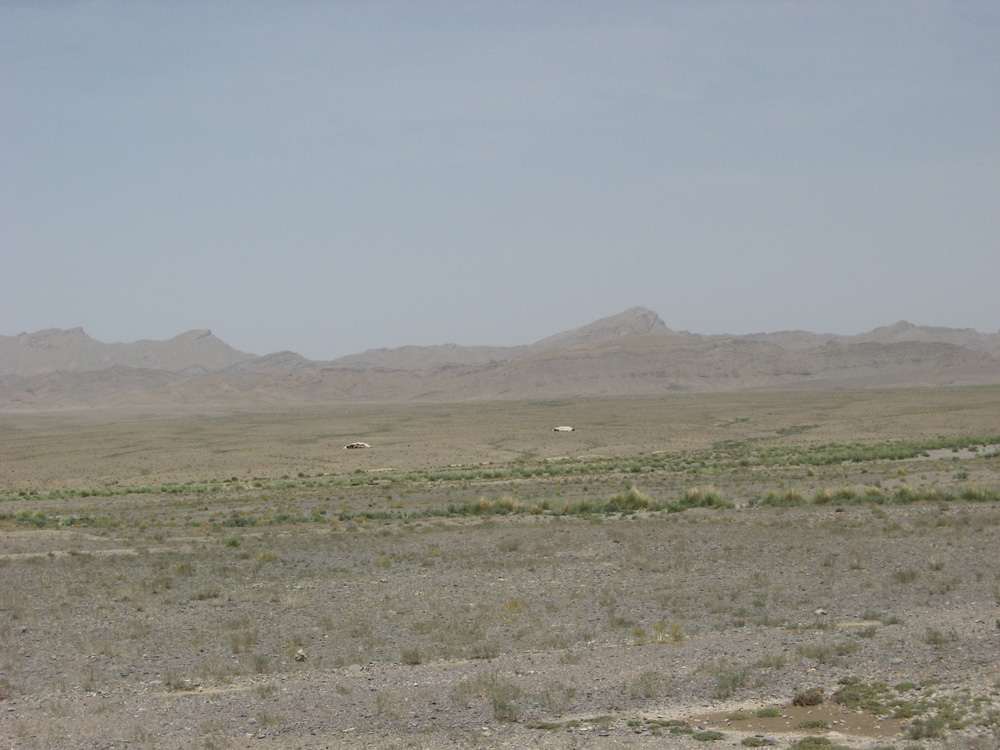 Vastness
