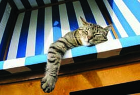 27cat27042013_CMY