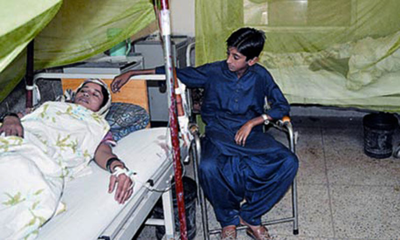 Dengue claims four more lives in Sindh - Pakistan - DAWN.COM
