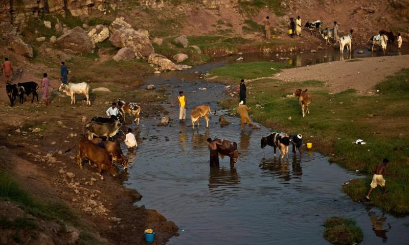 Sacrifice feast essay 08 image