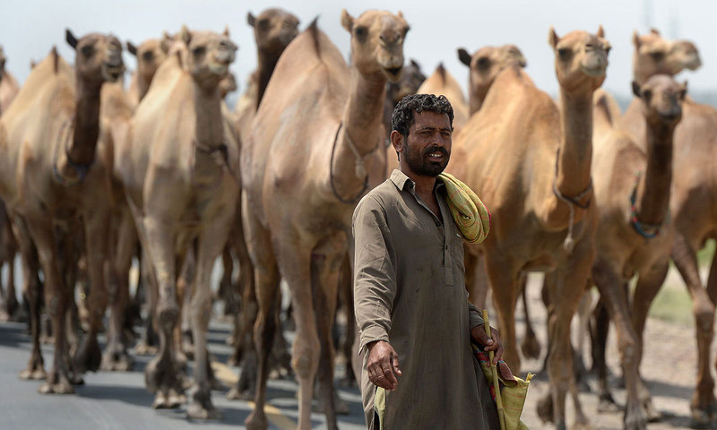 Pakistan Ragman Around Pakistan in pictures - Multimedia - DAWN.COM