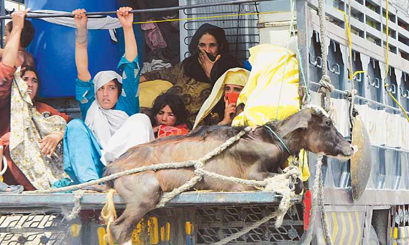 Fatwa declares Zarb-i-Azb a jihad