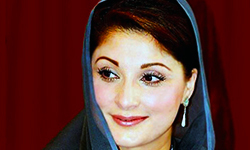 'یوتھ لون پروگرام کے لیے مریم نواز کی تقرری کا معیار کیا ہے؟'