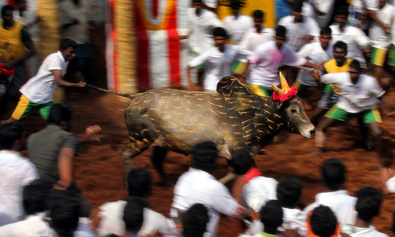 &mdash; اے ایف پی فوٹو