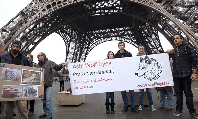 اے ایف پی فوٹو