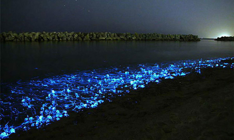 &mdash; رائٹرز فوٹو