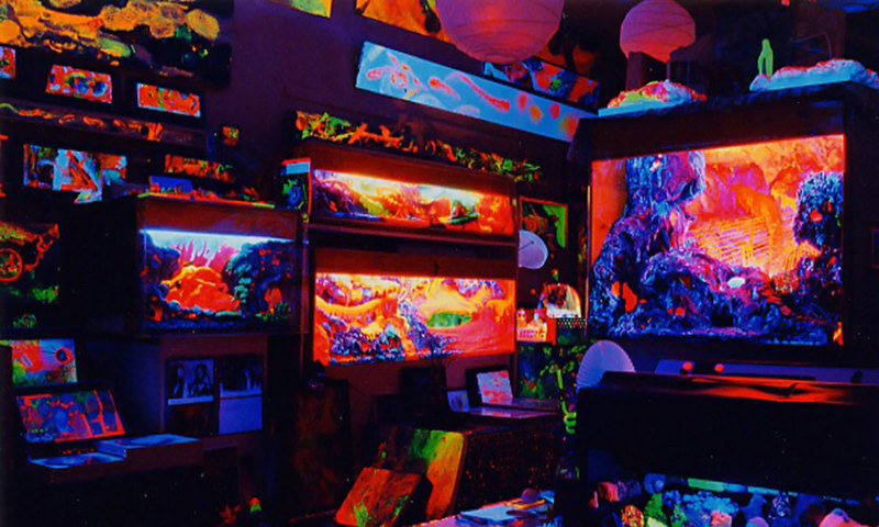 &mdash; اے ایف پی فوٹو