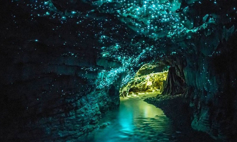 &mdash; وکی میڈیا کامنز