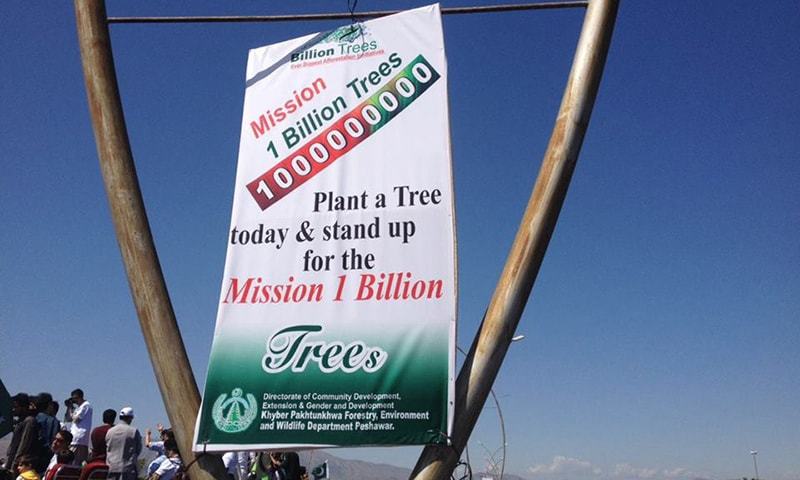 KP govt has announced to plant one billion trees in the province. —Photo courtesy PTI