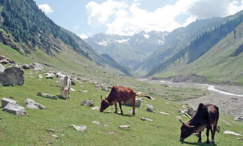 Roads demanded in Battagram to promote tourism - Newspaper - DAWN.COM