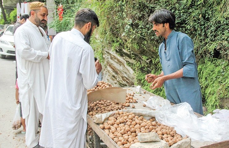 Swat Famous Things to Buy – Handicrafts, Fruits & Gems Guide 2025 4 57b8c1bbb4655