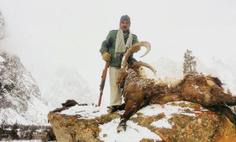 chitrali man wins trophy