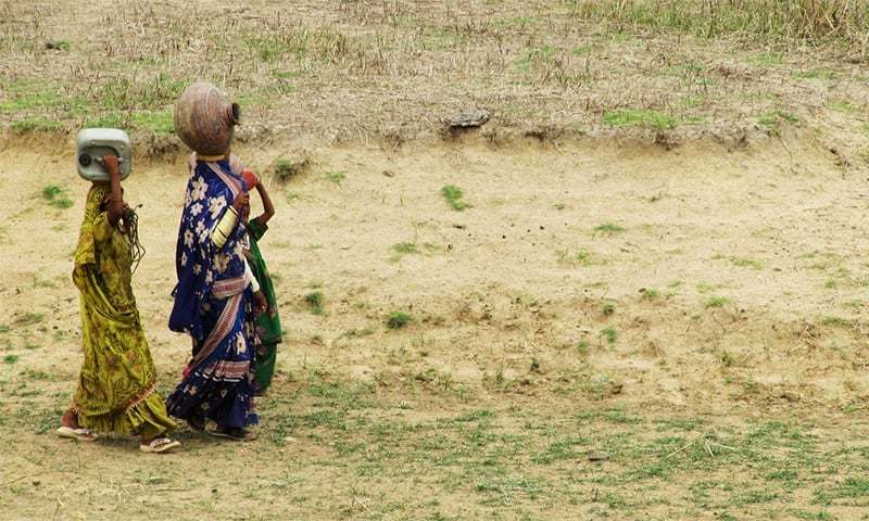 Women carrying pitchers filled with the water near a remote village in Thar. Women in the desert have to walk miles every day to fetch water for their families. â Photo by author