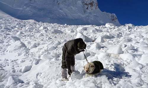 Top civil administrator Baseer Khan said the avalanche hit Khardung La pass in the remote Ladakh region early on Friday. ─ File photo