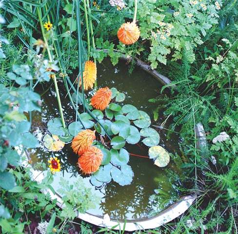 GARDENING: CREATING PERFECT MICROCLIMATES - Newspaper - DAWN.COM