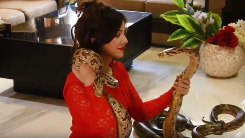 Rabi Pirzada acquitted in keeping wild reptiles case