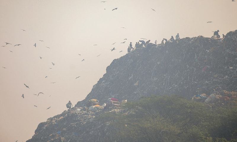 Delhi chokes on ‘severe’ smog as farm fires soar