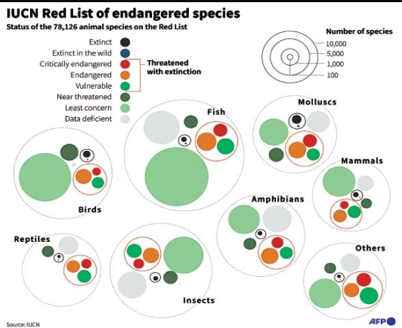 Extinction Risk IUCN adds 31 species to ‘extinct’ category in its Red List - Newspaper ...