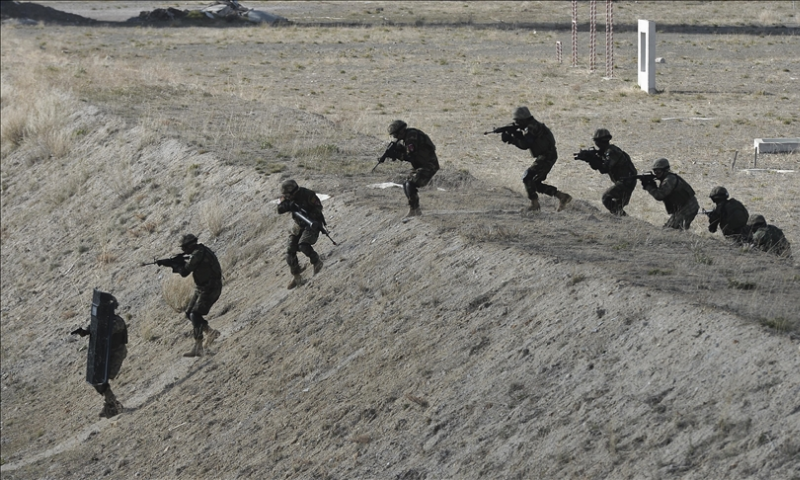 Multinational military drill 'to give Pakistan diplomatic push' - World - Vimarsana News