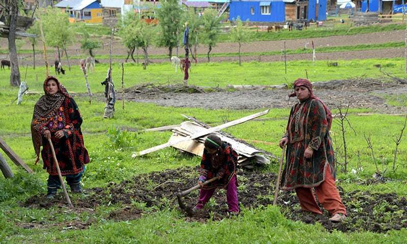 Kashmiris hail ceasefire agreement, but unsure it will hold - Pakistan - Vimarsana News