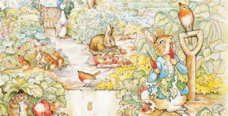 Petter Rabbit Tree Spotlight - Newspaper - DAWN.COM