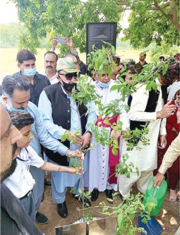 PM's 10bn tree programme to turn country green: Sheikh Rashid - Newspaper - Vimarsana News