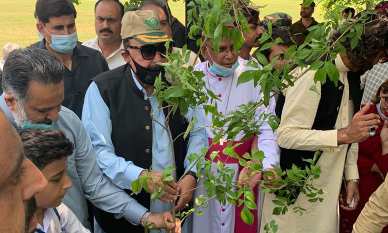 PM’s 10bn tree programme to turn country green: Sheikh Rashid ...