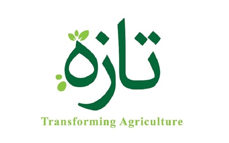 Pakistani startup Tazah raises $2m in pre-seed funding - Business - Vimarsana News