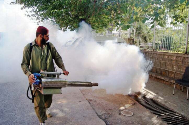 Dengue cases fall by 50pc in capital: DHO - Pakistan - Vimarsana News