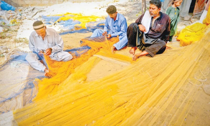 Call for efforts to reduce post-harvest losses of fishermen - Pakistan - Vimarsana News