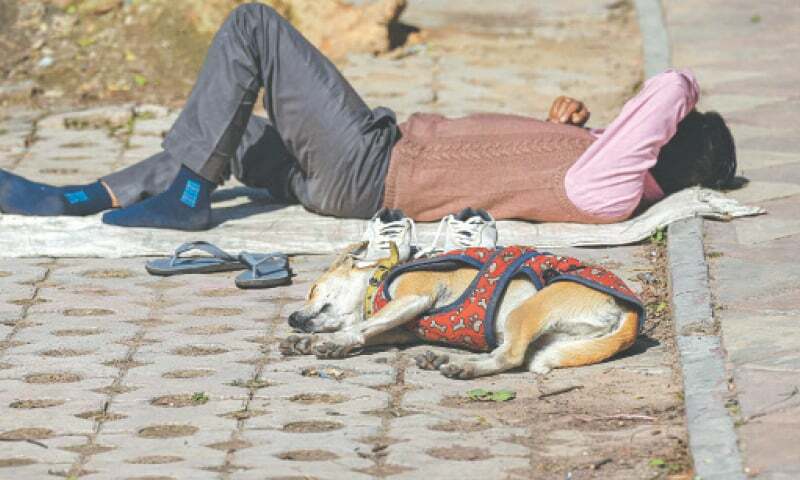 New Delhi's homeless shiver through harsh cold snap - Newspaper - Vimarsana News