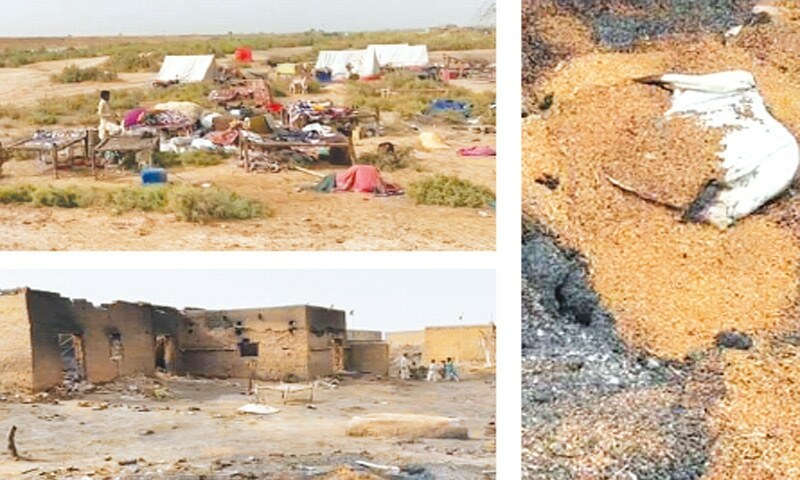 Footprints: SURVIVING THE FIRES OF HELL - Newspaper - Vimarsana News