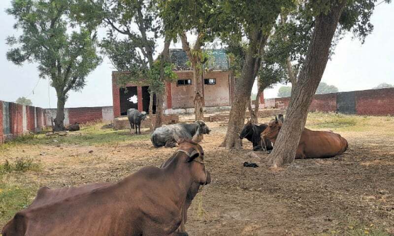 Govt closes down two schools in village - Newspaper - Vimarsana News